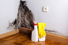 Dehumidification Services in Hiawatha, IA